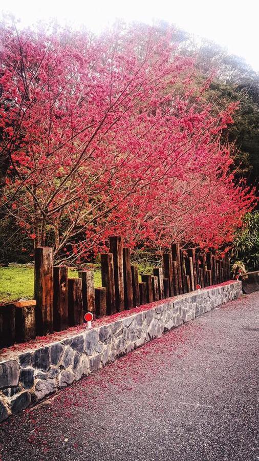 Taroko Formosa Homestay Xiulin Εξωτερικό φωτογραφία